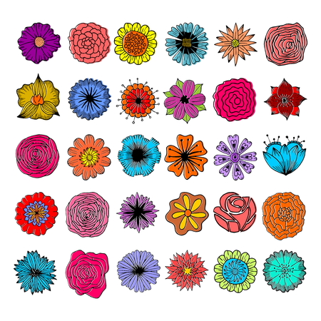 Painted flowers are handmade. Multicolored, monochrome, elegant. For invitations, posters, flyers and other designs.のイラスト素材