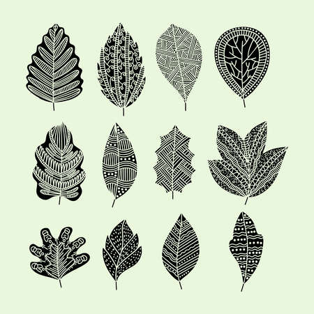 Set of hand drawn plant leaves. vector doodle style.のイラスト素材