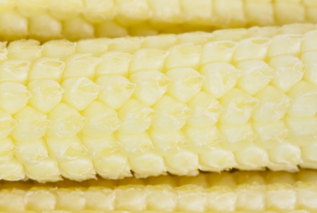 Macro image of baby corn ear  aka candle corn  revealing the tiny details of its kernels grains  The image has a shallow Depth-of-Field の写真素材