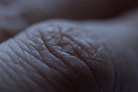 Macro of the human skin texture. Dermatological pattern of healthy brown skin. Close-up of the skin...