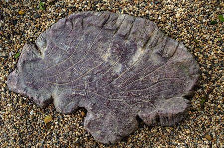 The beautiful large stone is surrounded by smaller stones backgroundの写真素材