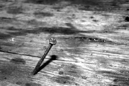 old rusty nail stuck on a boardの写真素材