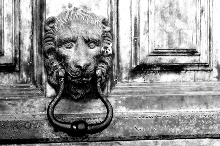 Close-up of brass knocker depicting a lionの写真素材