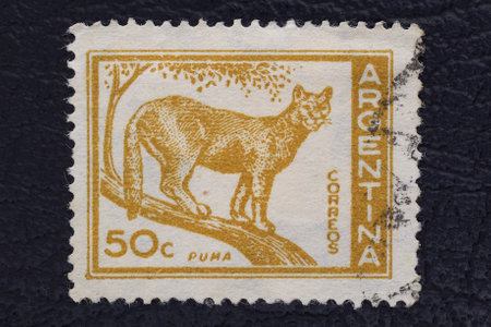 Valverde (CT), Italy - January 15, 2023: An old postage stamp from Argentina showing a pumaのeditorial素材