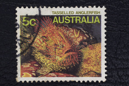 Valverde (CT), Italy - January 15, 2023: an old postage stamp from Australia showing a Tasselled Anglerfishのeditorial素材