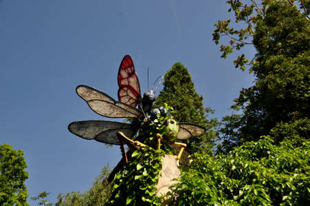 Two large dragonflies on a stone wall