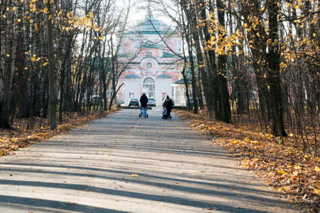 A walk with the whole family in the autumn park. Husband, wife and child for a walk.の写真素材