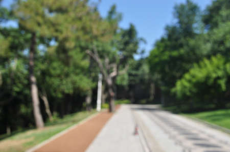 Blurred background of the park. Blurred alleys and trees. Sunny day, blue sky.