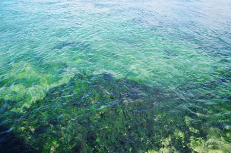 The calm surface of the sea water. Background, texture, design.の写真素材