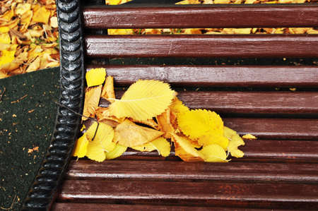 Autumn. Fallen yellow leaves on a garden bench. Background, texture, design, wallpaper.の写真素材