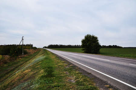 Panorama along a deserted road. Straight road through the fields. The sky before the rain.の写真素材