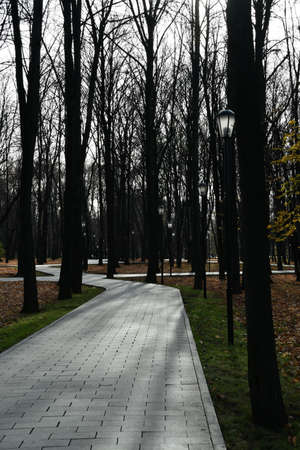 View of the alleys of the city park. Alley cobblestones made of flat light stones. Panorama of the park.の写真素材