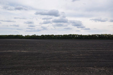 Panoramic view of agricultural land. A plowed field against the backdrop of green trees and clouds in the sky.の写真素材