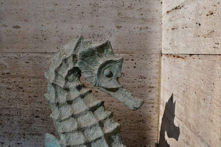 Seahorse fish. Fish head on the background of a stone wall. November 10, 2021, Yerevan, Armenia.のeditorial素材