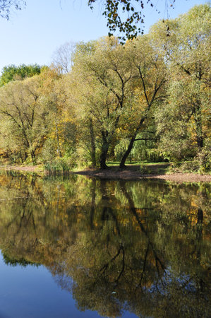 Autumn panorama. View of trees and their reflection in the water of the pond. Sunny day in the park.の写真素材