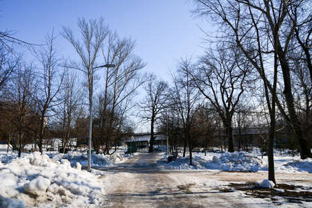 Panorama of the spring square in the city. Bright, sunny day in the city.の写真素材