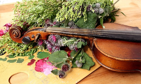 Violin and flowersの写真素材