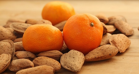 Background with citrus fruitsの写真素材