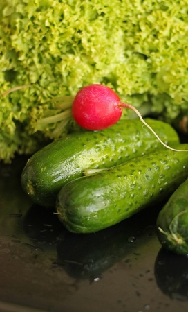 Fresh vegetablesの写真素材