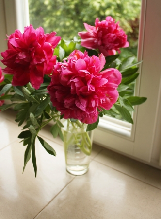 Peonies bouquetの写真素材