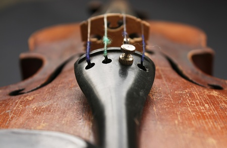 Beautiful violinの写真素材