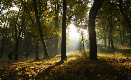 Autumn background