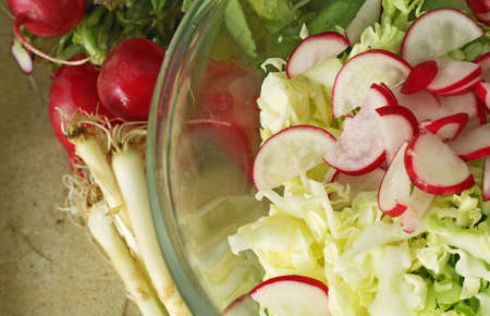 Spring vegetablesの写真素材