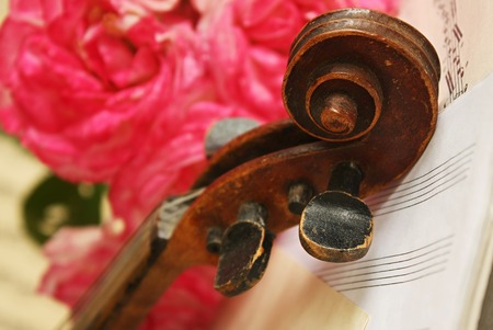 Beautiful violinの写真素材