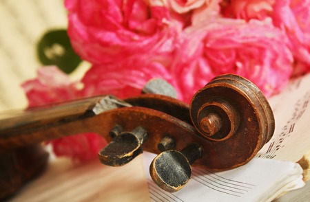 Beautiful violinの写真素材