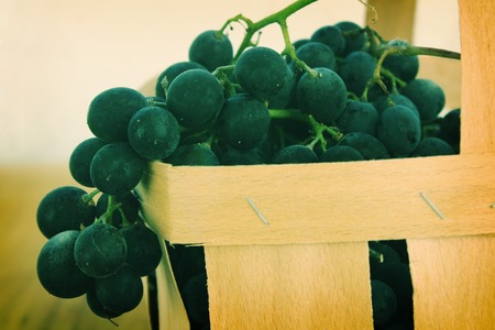 Grape basketの写真素材