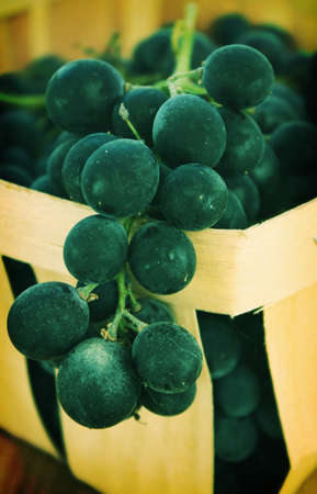 Grape basketの写真素材