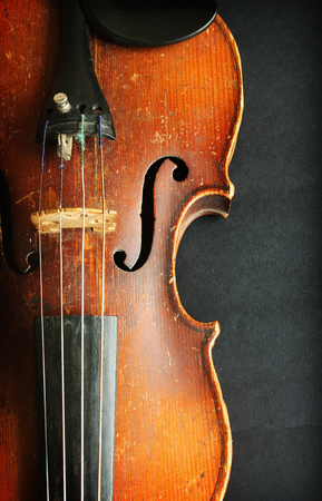 Beautiful violinの写真素材