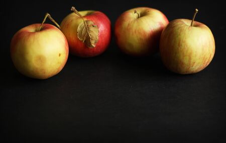 Four red applesの写真素材