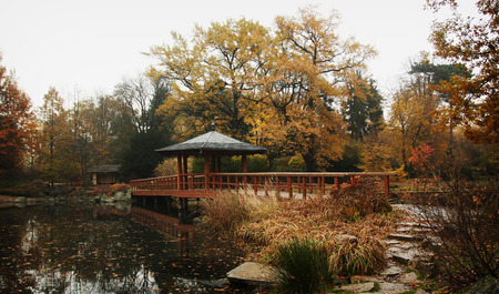 Beautiful autumn park in Wroclaw, Polandの写真素材