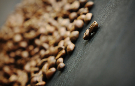 Beautiful background with scattered coffee beansの写真素材