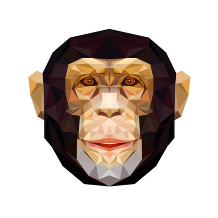 Geometric low poly chimpanzee design. African animal mammal. Monkey icon.のイラスト素材