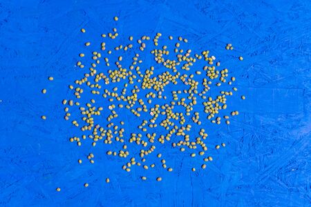 green bean seeds, removed from the top on a blue background