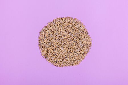 Whole wheat seeds and berriesの写真素材