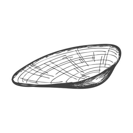 Hand-drawn seashells. An empty, closed, flat, oval solid shell of a mollusc or snail. Sketch style, engraved drawing. Black and white illustration isolated on a white background.のイラスト素材