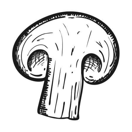 A Doodle-style slice of champignon. The mushroom is hand-drawn and isolated on a white background. black and white vector illustration. For menu design, recipes, food packaging.のイラスト素材