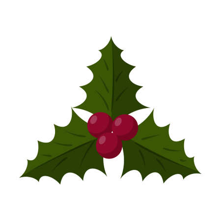 Holly, Ilex branch with berry and leaves, mistletoe. Symbol of Christmas and New year celebrations. A design element in a flat style and Isolated on a white background. Vector illustration.のイラスト素材