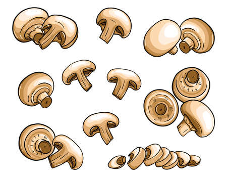 Hand-drawn champignons. Mushrooms In a flat style with an outline are Isolated on a white background. Whole, cut, slices, halves. Color vector illustration for food packaging designのイラスト素材
