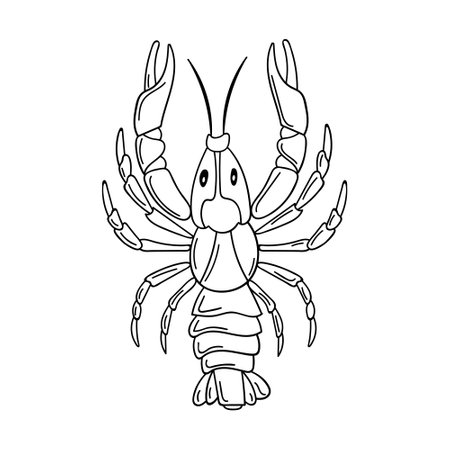A whole raw live crayfish with pincers. Seafood, a freshwater arthropod. Contour sketch food illustration in doodle style, hand drawn, isolated on a white background. Black white vectorのイラスト素材