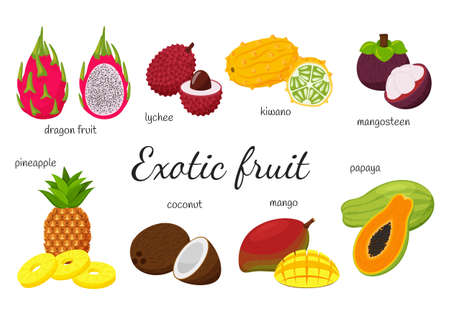 A set of tropical, exotic fruits. 8 fruits, whole and split. Mango, Papaya, dragon fruit, kiwano, lychee, mangosteen, coconut, pineapple.Collection in flat style. Vector illustration isolated on whiteのイラスト素材