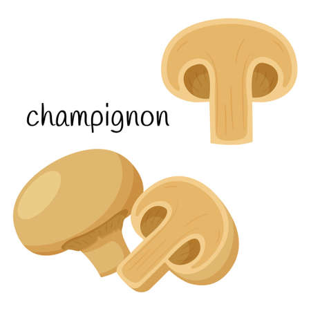 Champignons. The mushroom is whole, half in cross-section. Ingredient, an element for the design of food packaging, recipes, and menus.Isolated on a white background vector illustration in a flat styleのイラスト素材