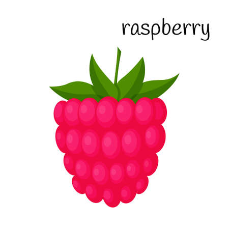 Raspberries with leaves. A single illustration. Fruit, berry icon. Flat design. Color vector illustration isolated on a white backgroundのイラスト素材