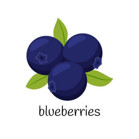 Blueberries with leaves. Three berries. Fruit, berry icon. Flat design. Color vector illustration isolated on a white backgroundのイラスト素材