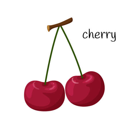 Two cherries on a twig. Fruit, berry icon. Flat design. Color vector illustration isolated on a...