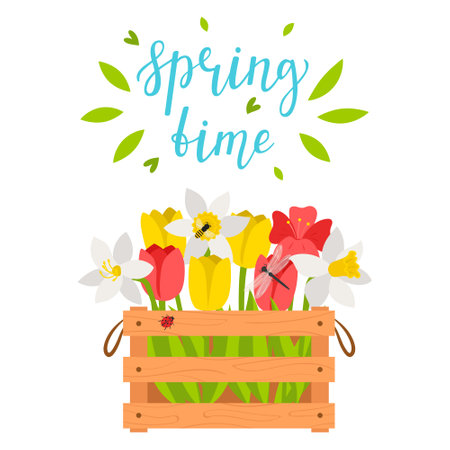 Wooden box with spring flowers, tulips, daffodils, dragonfly, bee. The words Springtime. Bright color vector illustration, postcard in flat style. Isolated on a white backgroundのイラスト素材