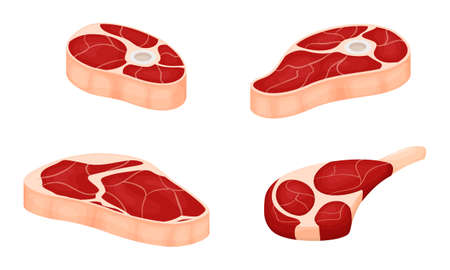 A set of pieces of raw meat with layers of fat. Knuckle with bone, shoulder blade, fillet. Fresh meat ingredients. Flat cartoon vector illustration isolated on a white backgroundのイラスト素材